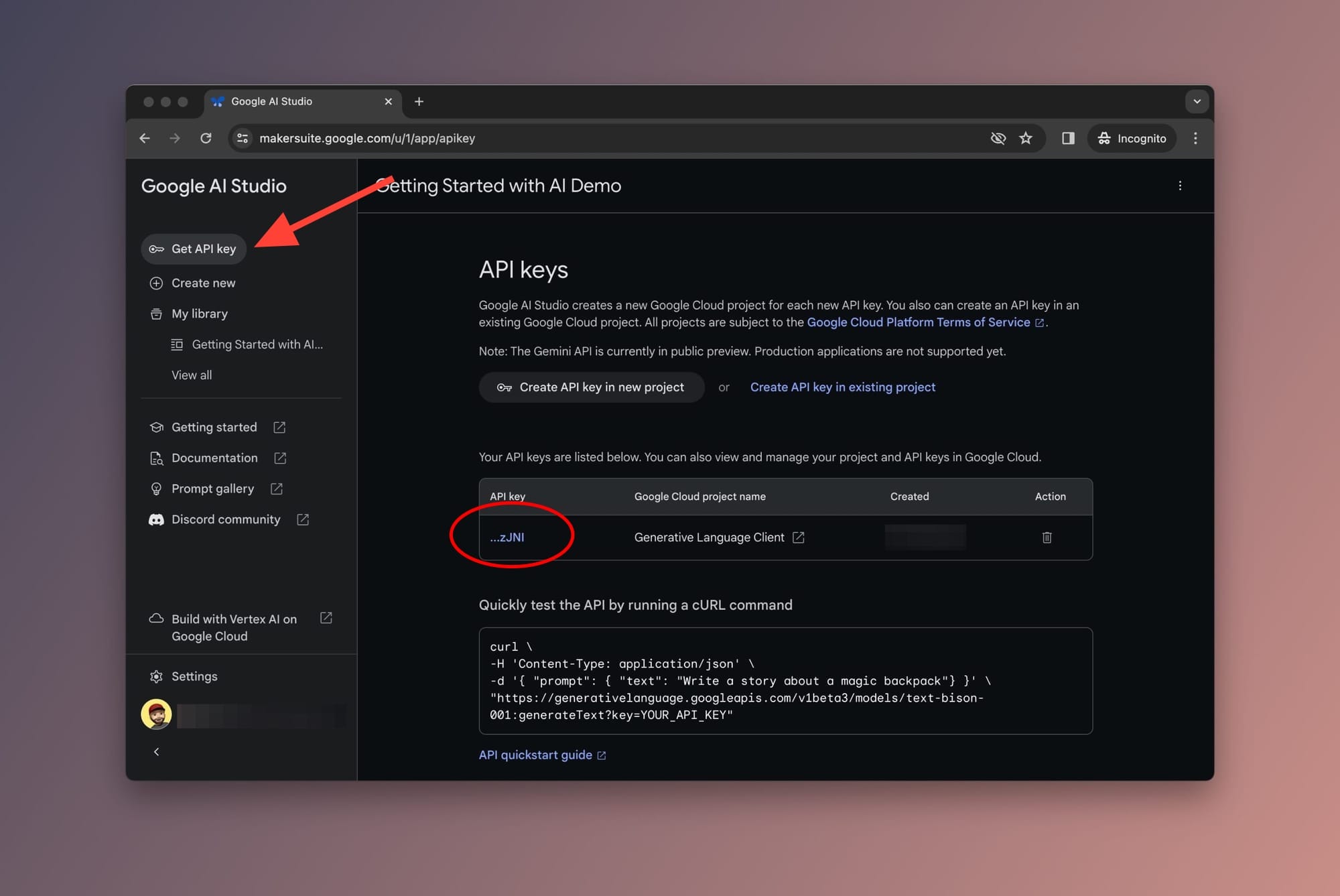 How to get your Google Gemini Pro API key in Google AI Studio screenshot
