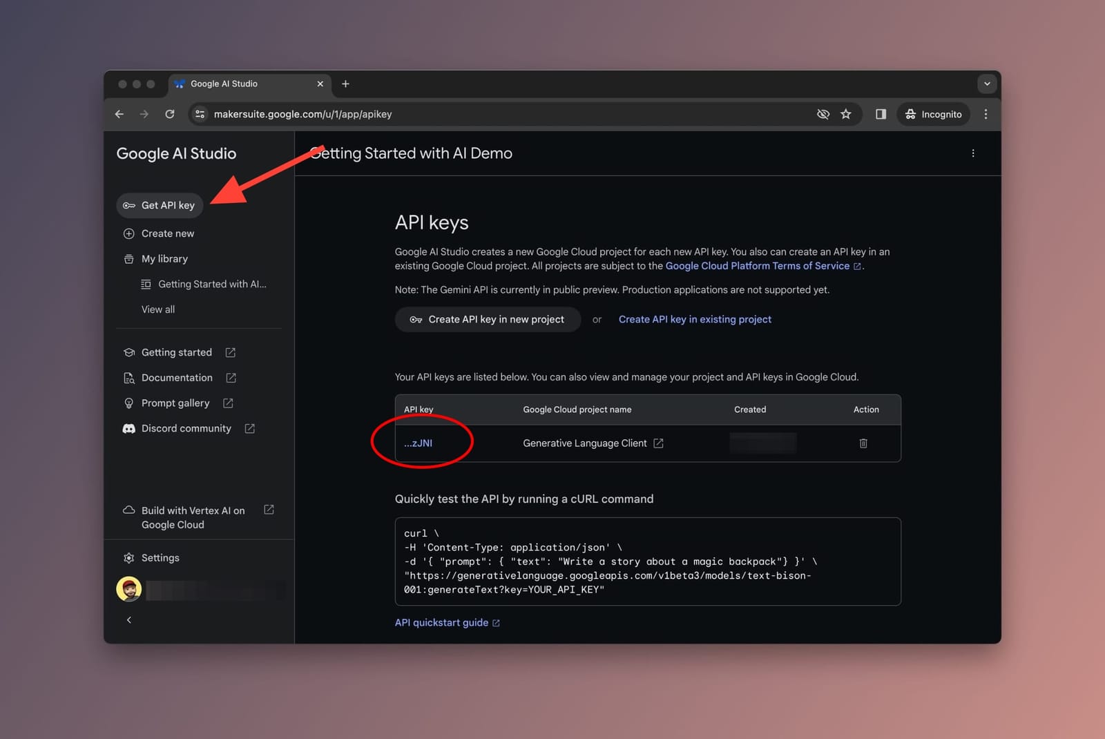 Build RAG app using LlamaIndex, Pinecone, and Gemini Pro